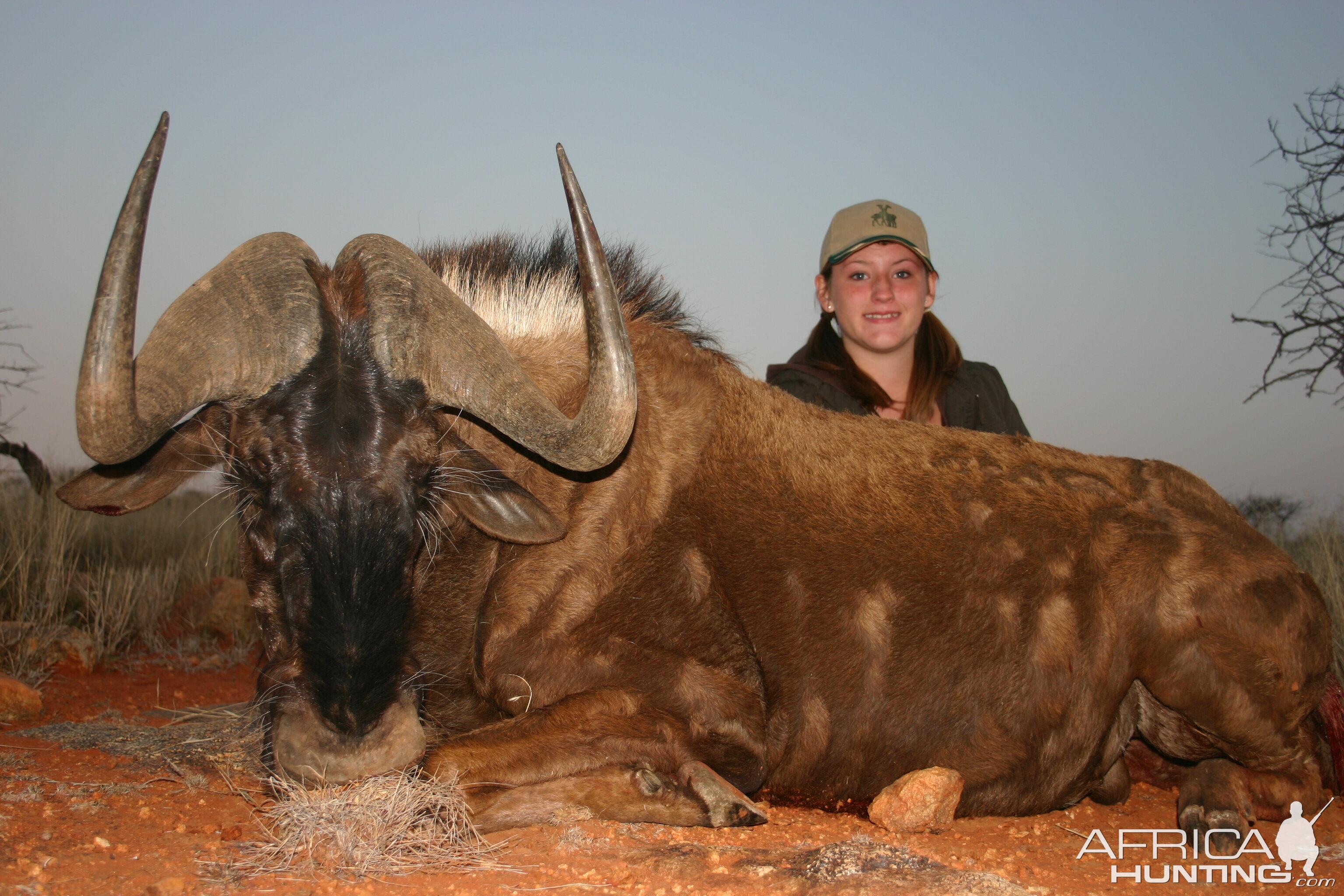 Hunting Black Wildebeest with Wintershoek Johnny Vivier Safaris in SA