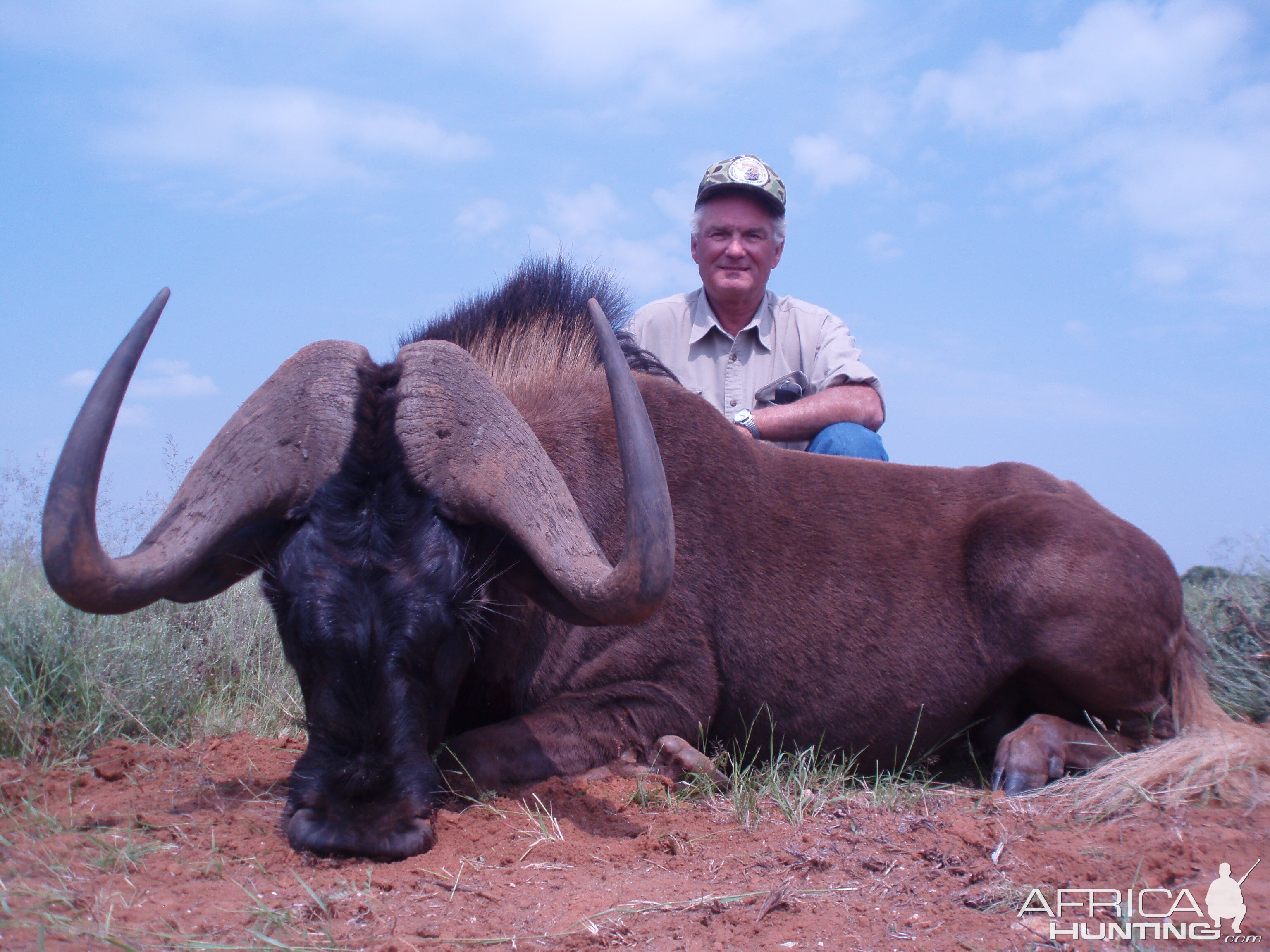 Hunting Black Wildebeest with Wintershoek Johnny Vivier Safaris in SA