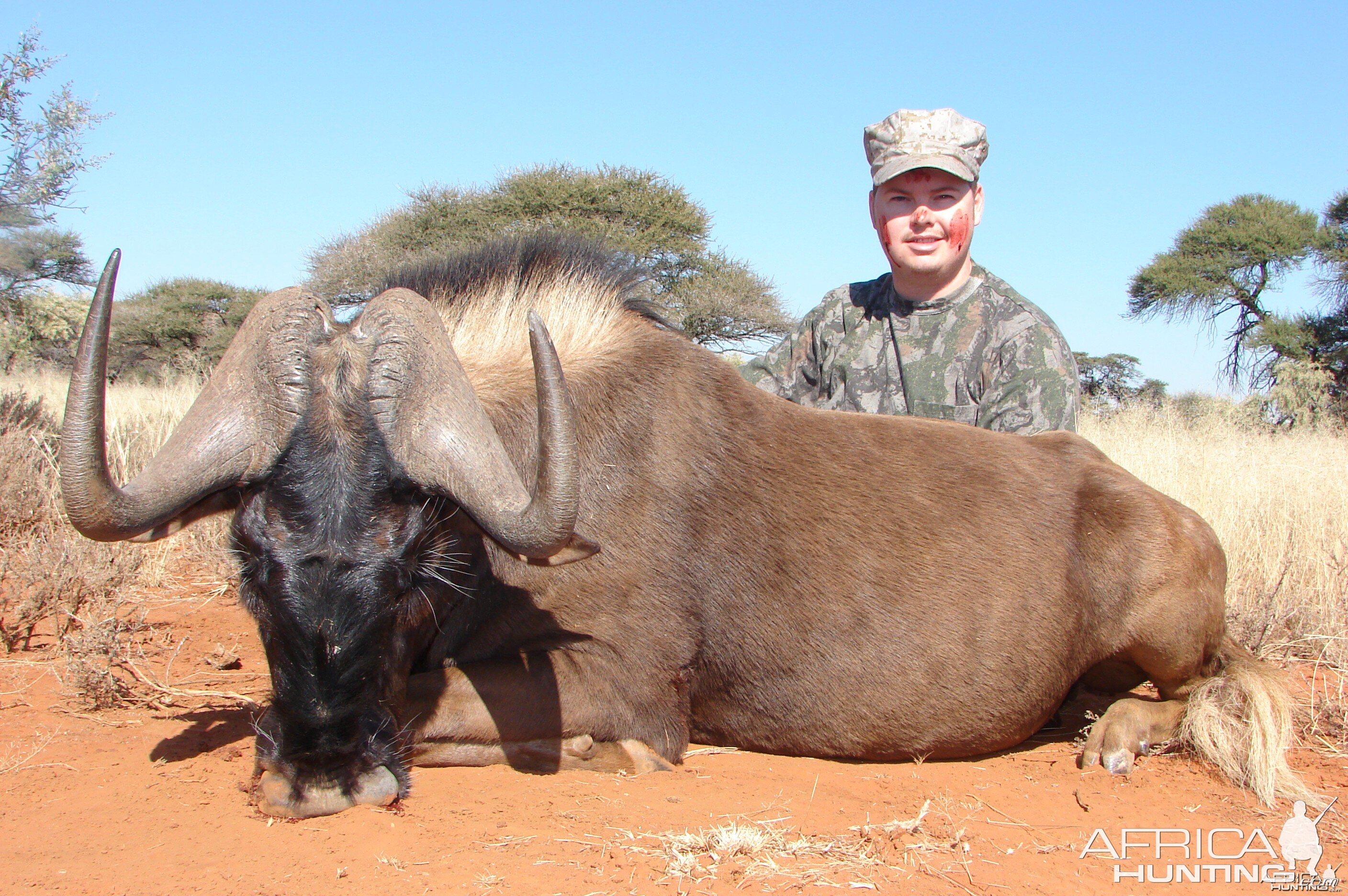 Hunting Black Wildebeest with Wintershoek Johnny Vivier Safaris in SA