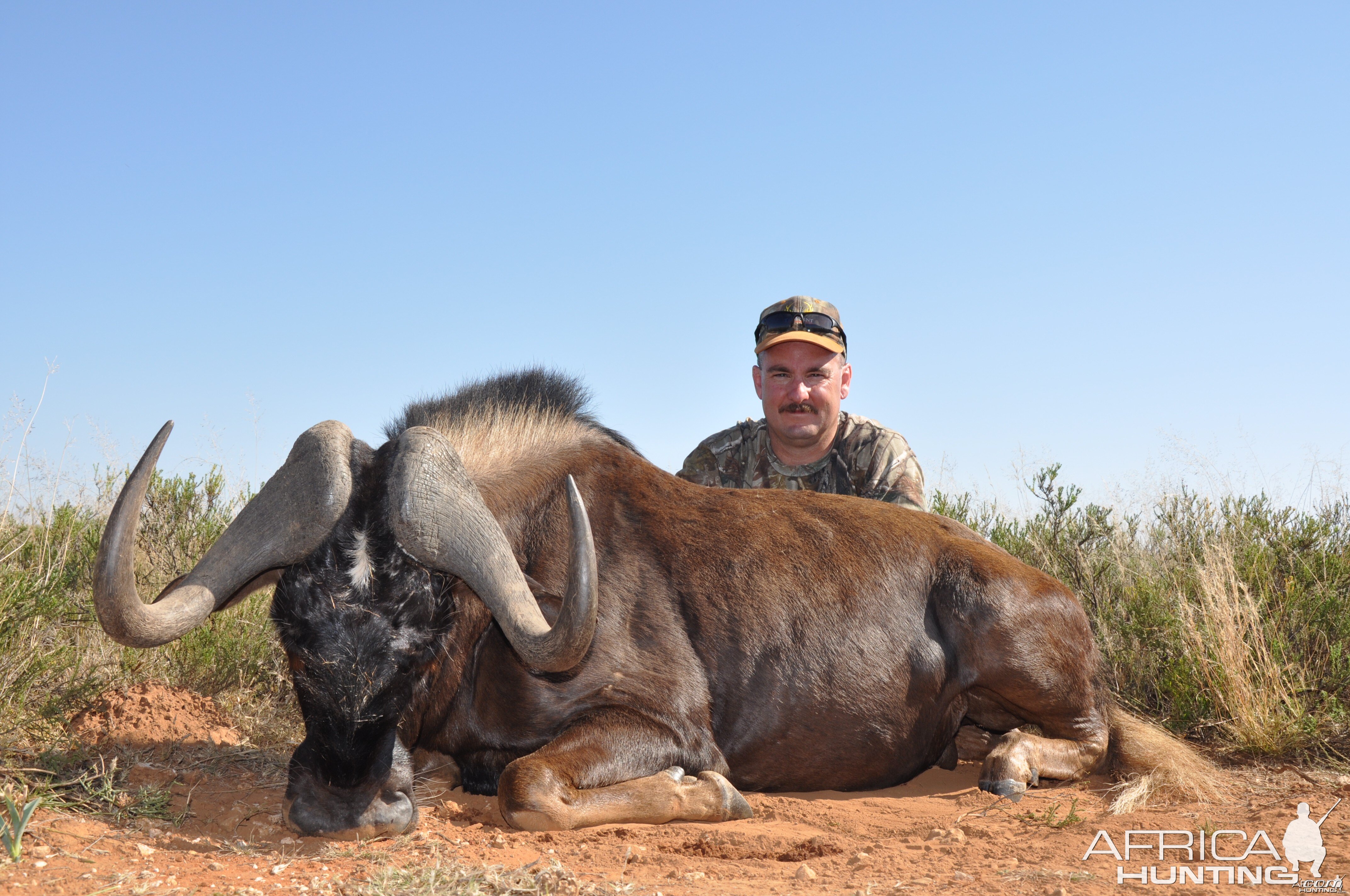 Hunting Black Wildebeest with Wintershoek Johnny Vivier Safaris in SA