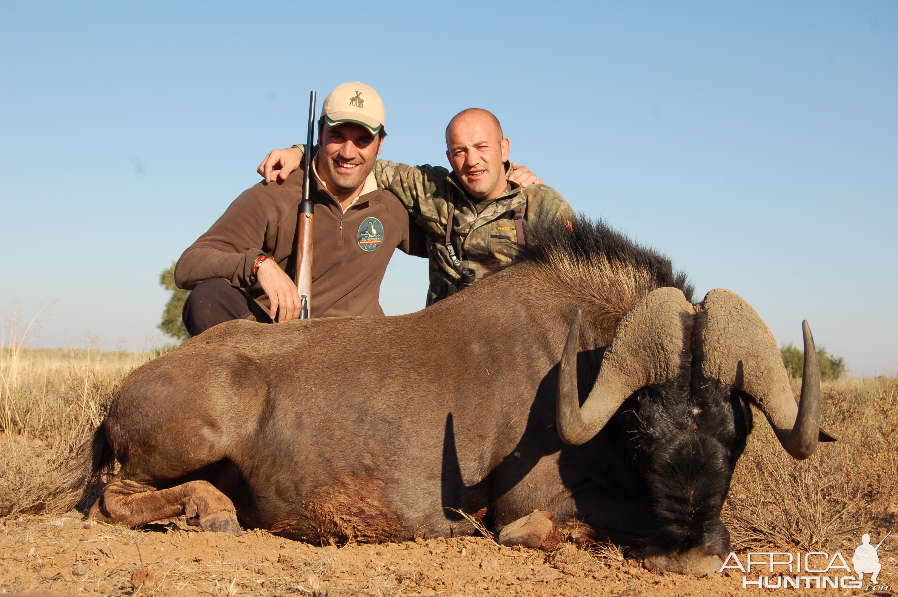 Hunting Black Wildebeest with Wintershoek Johnny Vivier Safaris in SA