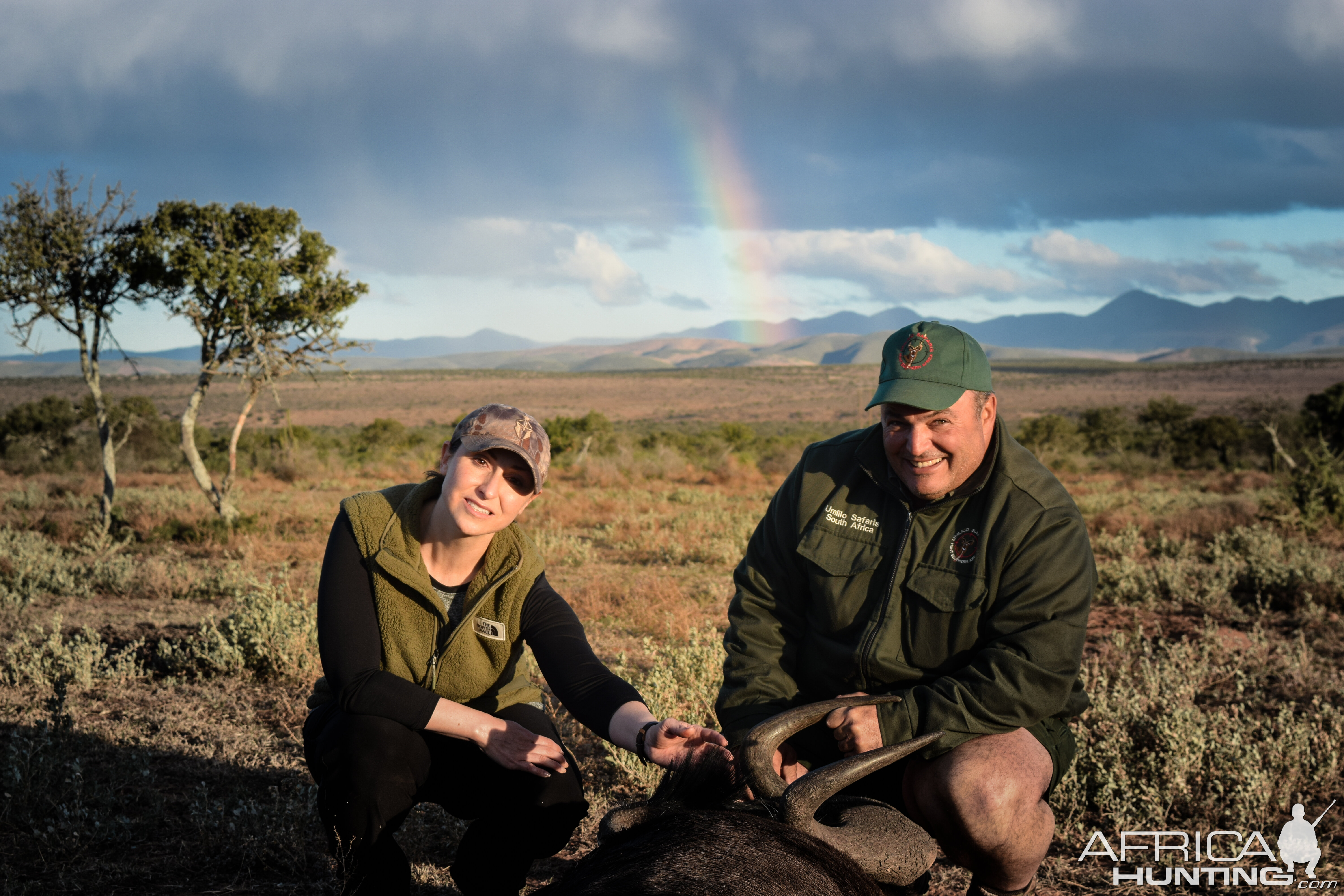 Hunting Black Wildebeest