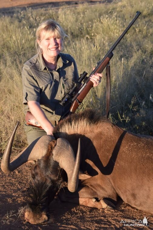 Hunting Black Wildebeest