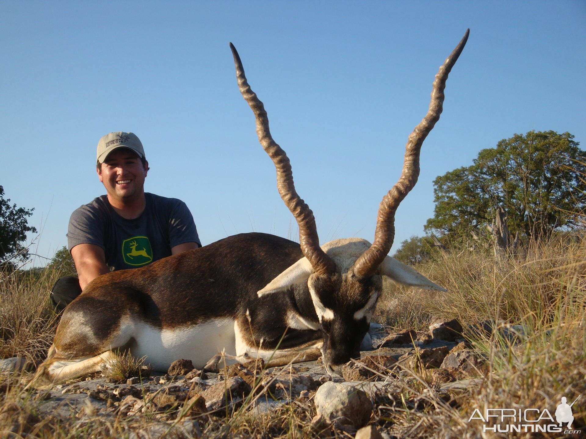 Hunting Blackbuck