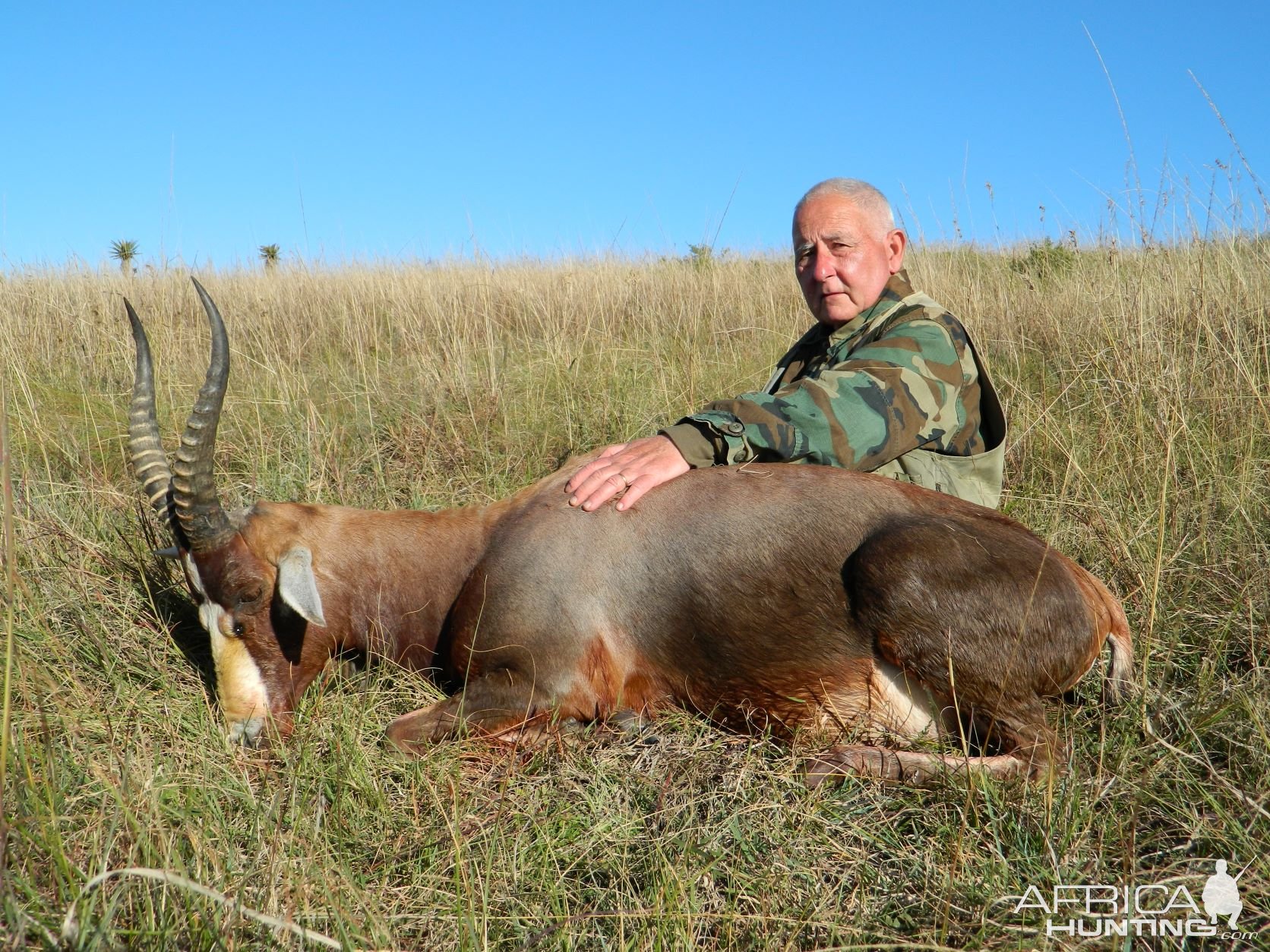 Hunting Blesbok Eastern Cape