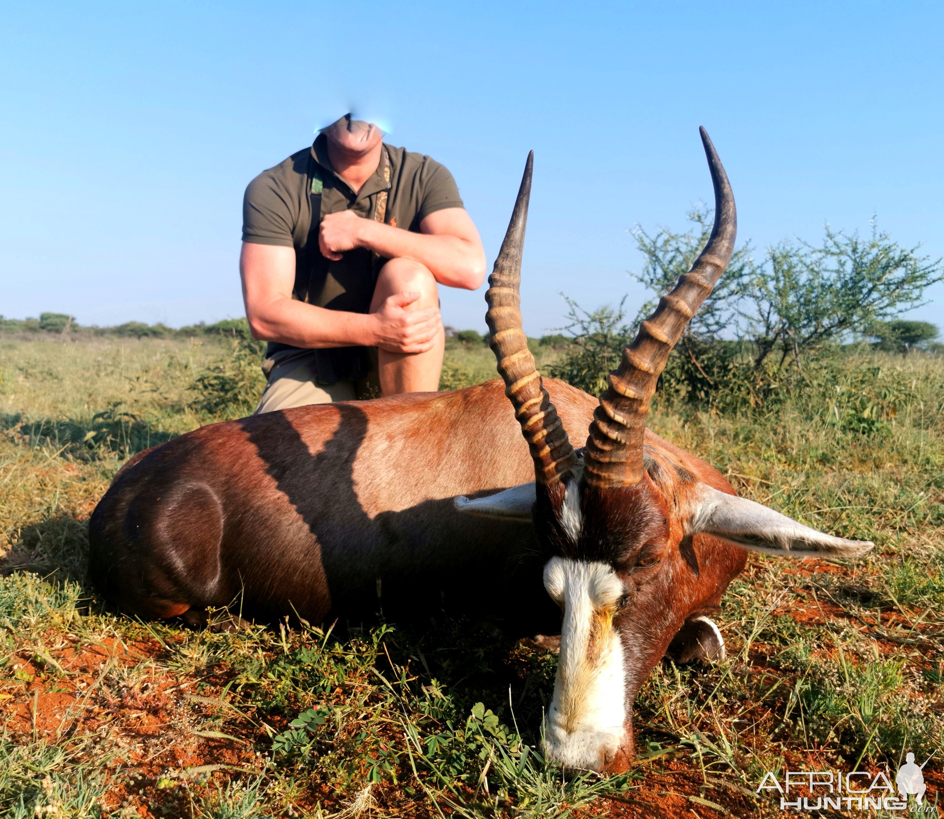 Hunting Blesbok in South Africa