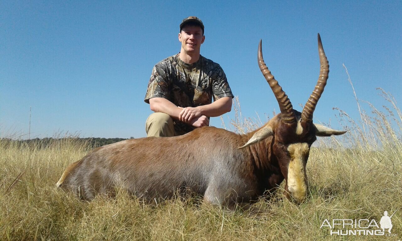 Hunting Blesbok in South Africa