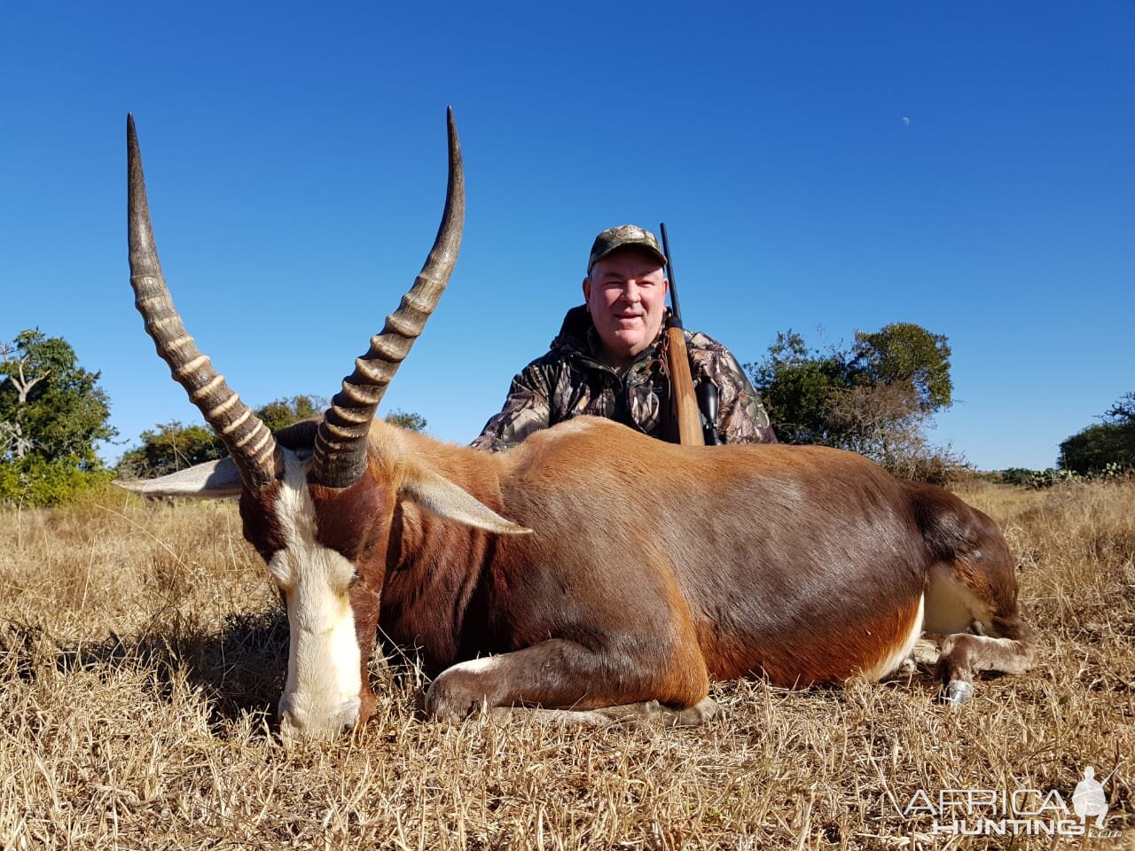 Hunting Blesbok in South Africa