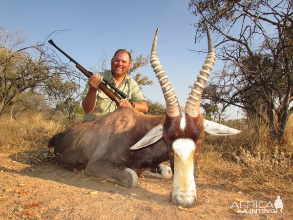 Hunting Blesbok in South Africa