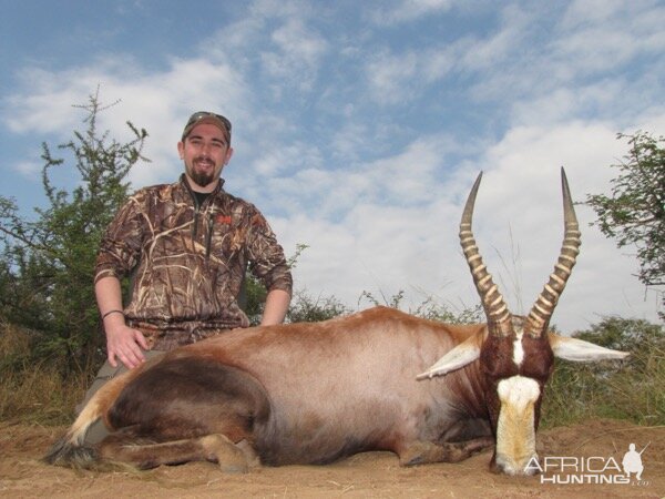 Hunting Blesbok in South Africa