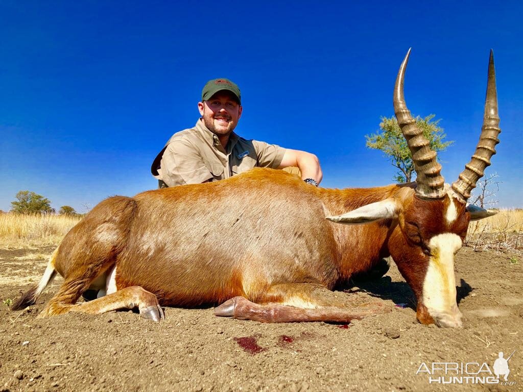 Hunting Blesbok in South Africa