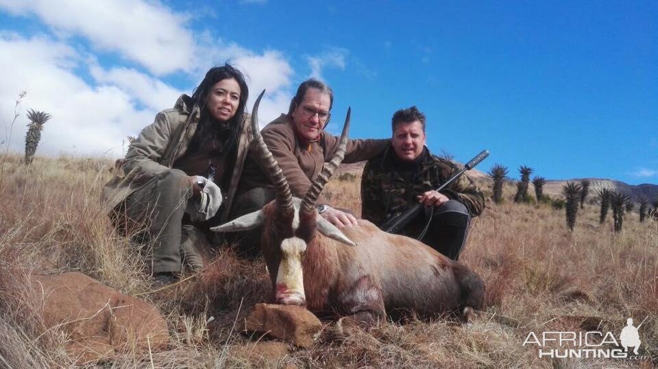 Hunting Blesbok in South Africa