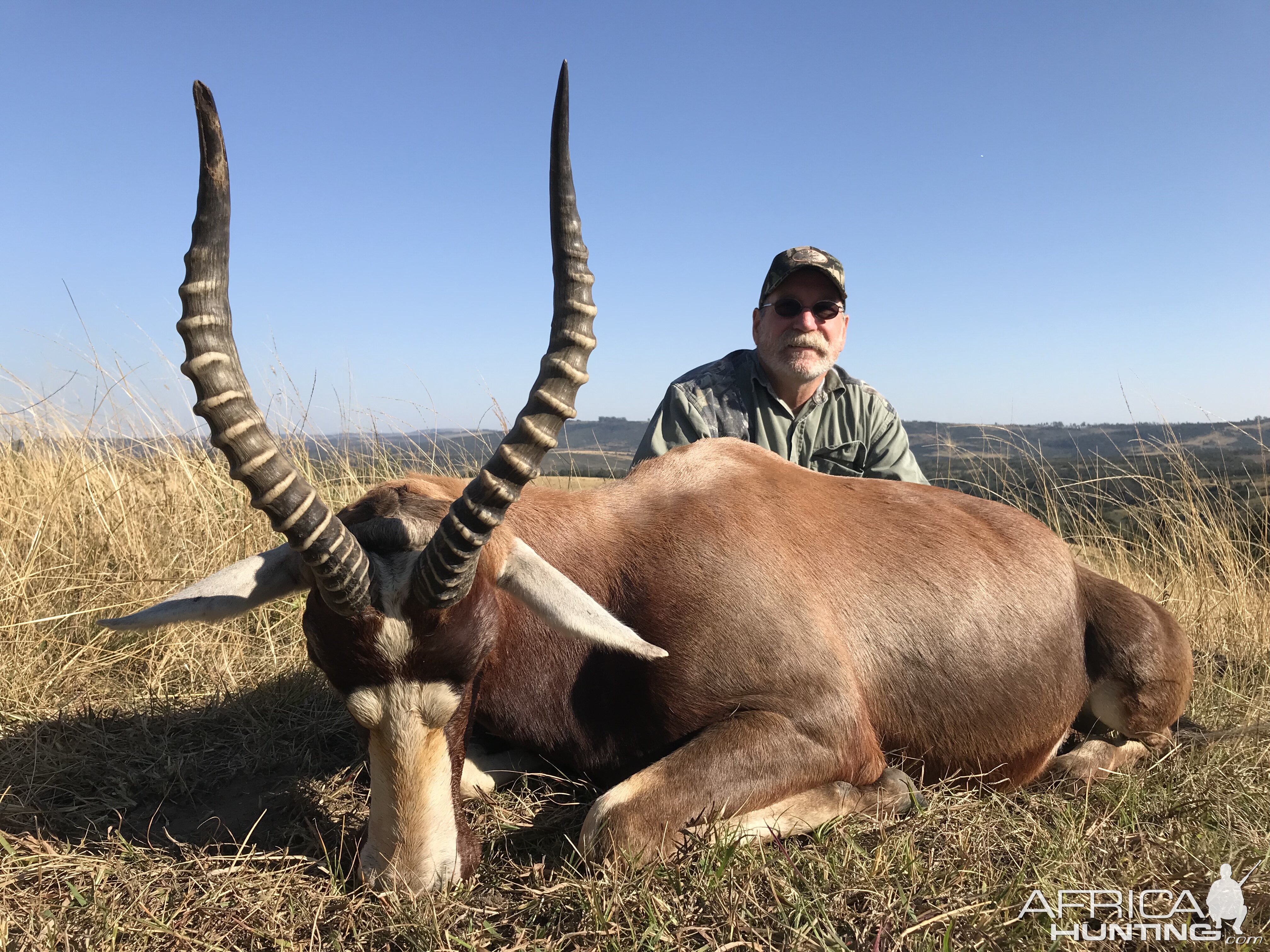 Hunting Blesbok in South Africa