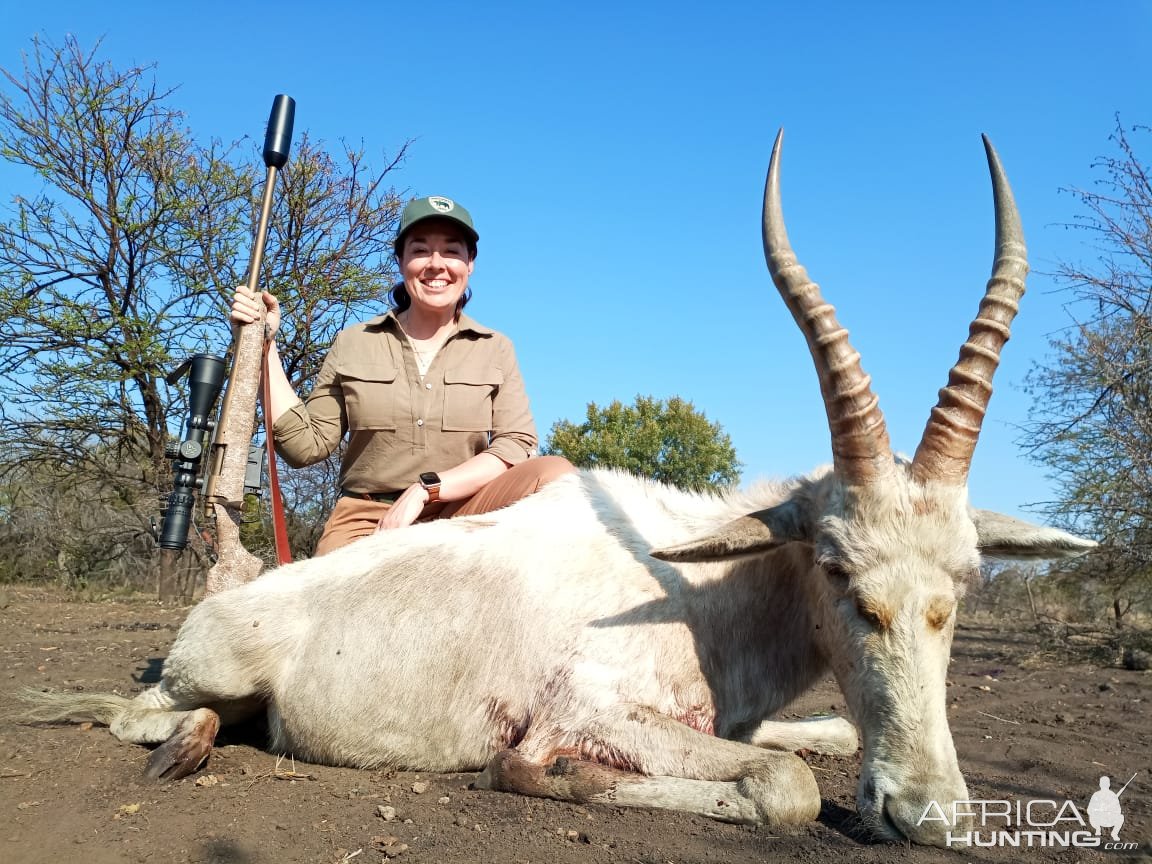 Hunting Blesbok South Africa