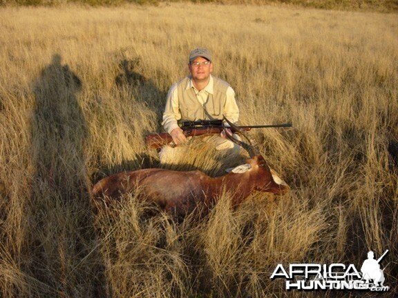 Hunting Blesbok South Africa