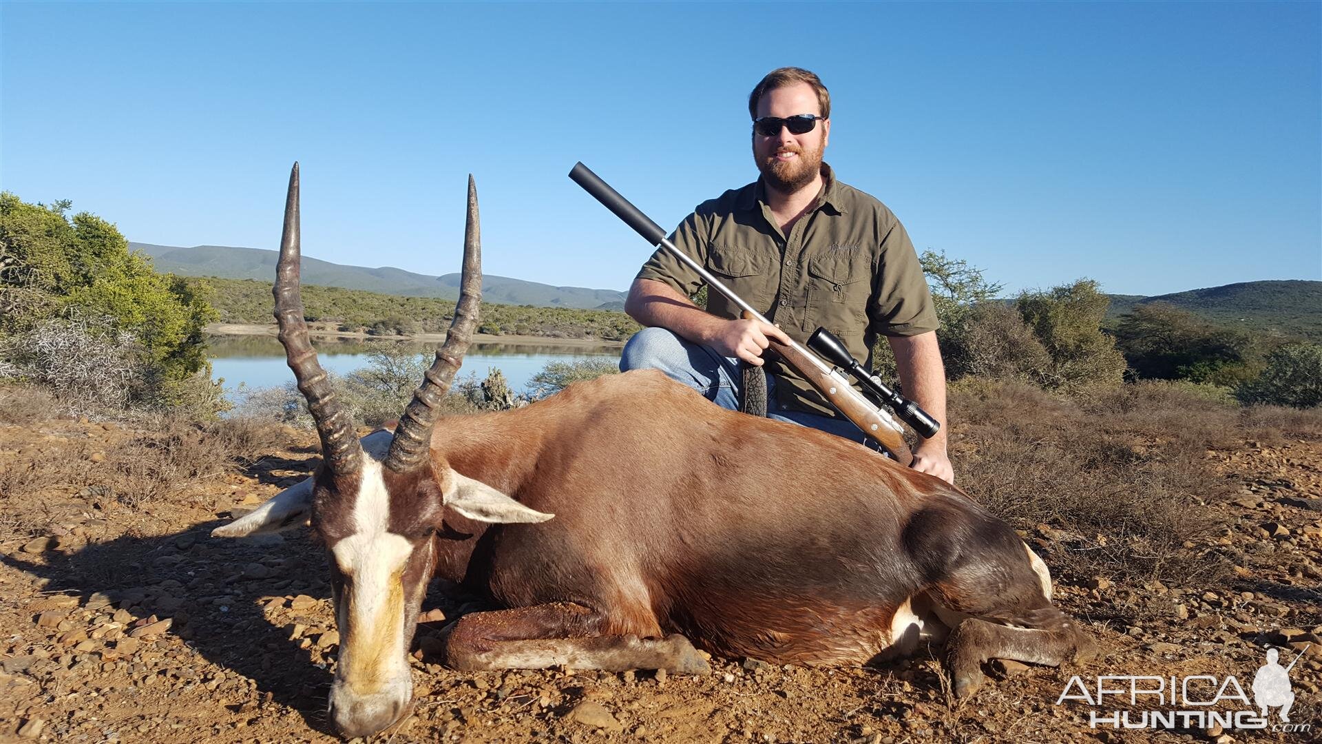 Hunting Blesbok South Africa