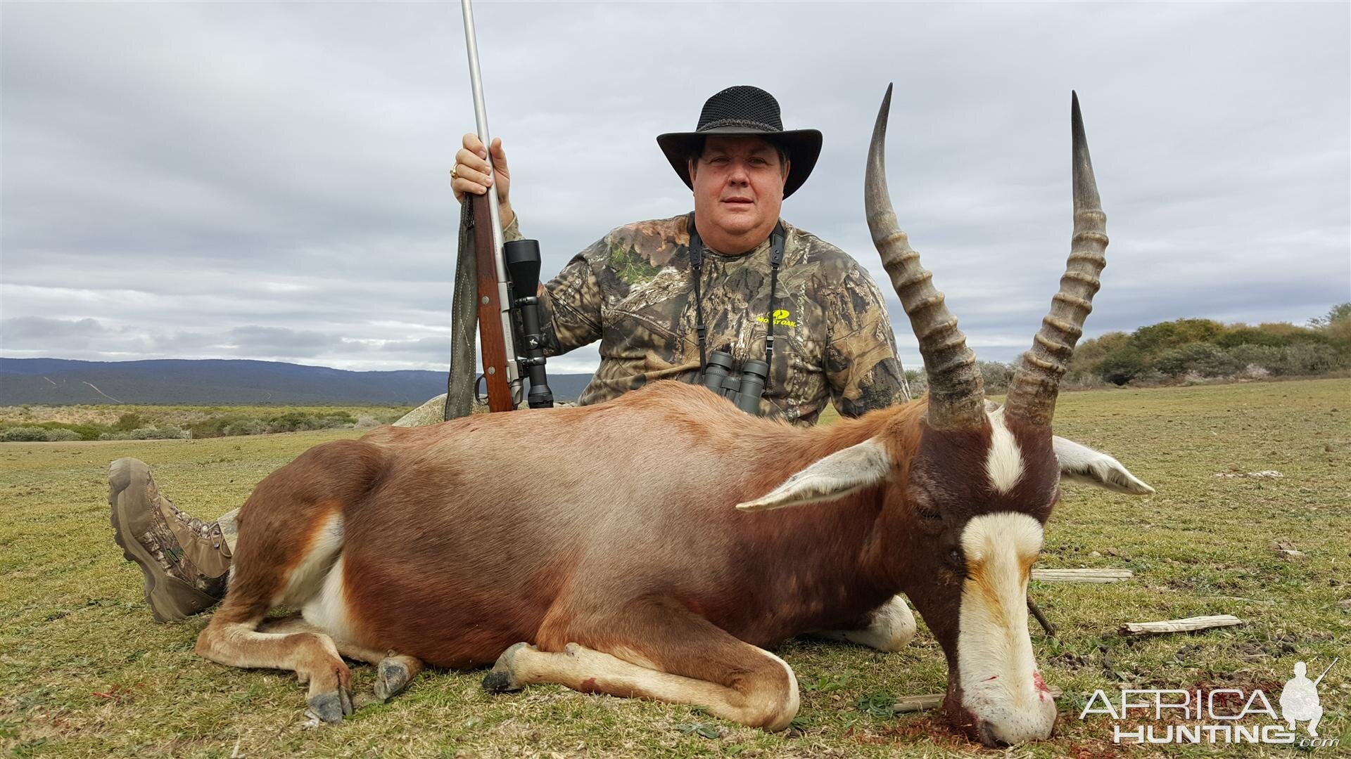 Hunting Blesbok South Africa