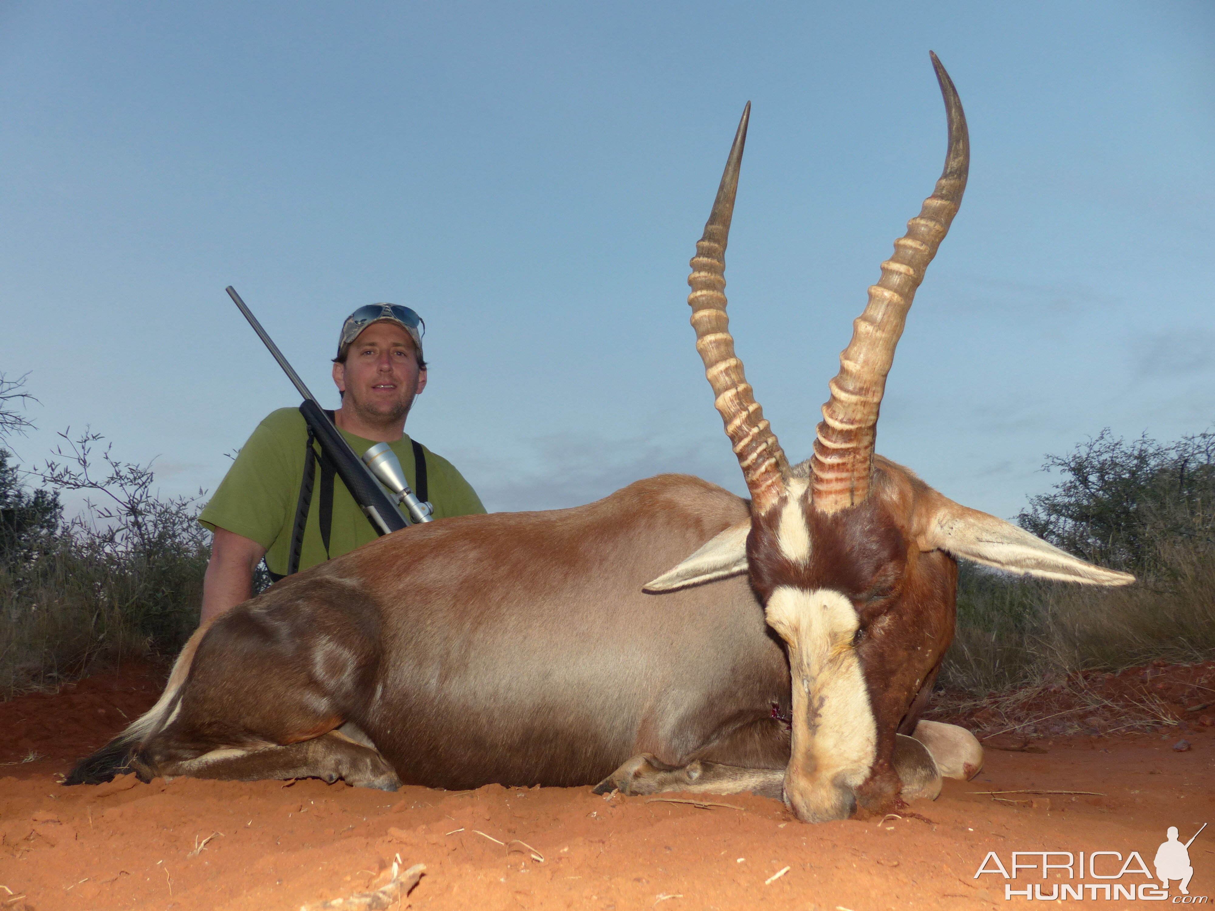 Hunting Blesbok South Africa