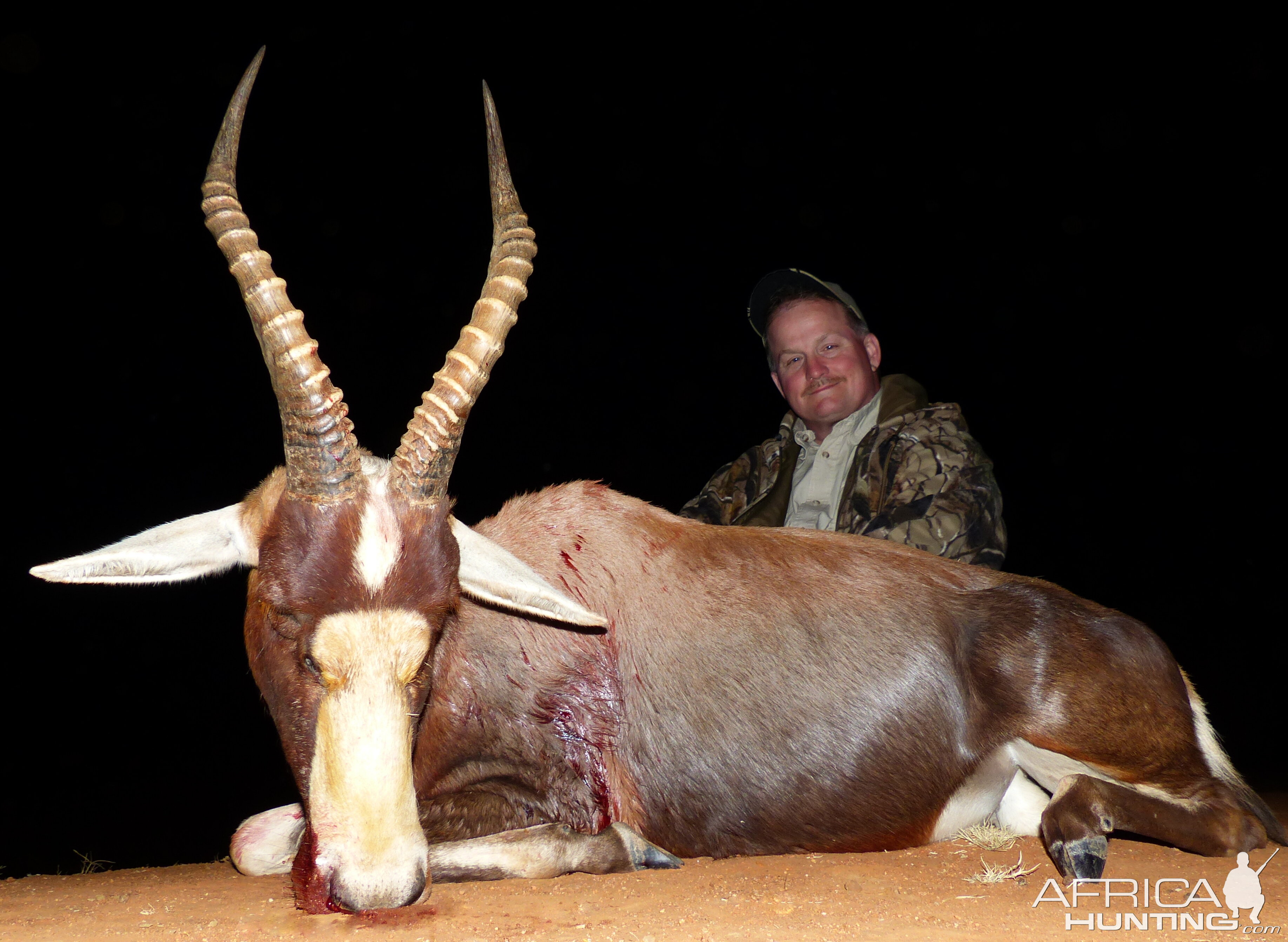 Hunting Blesbok South Africa