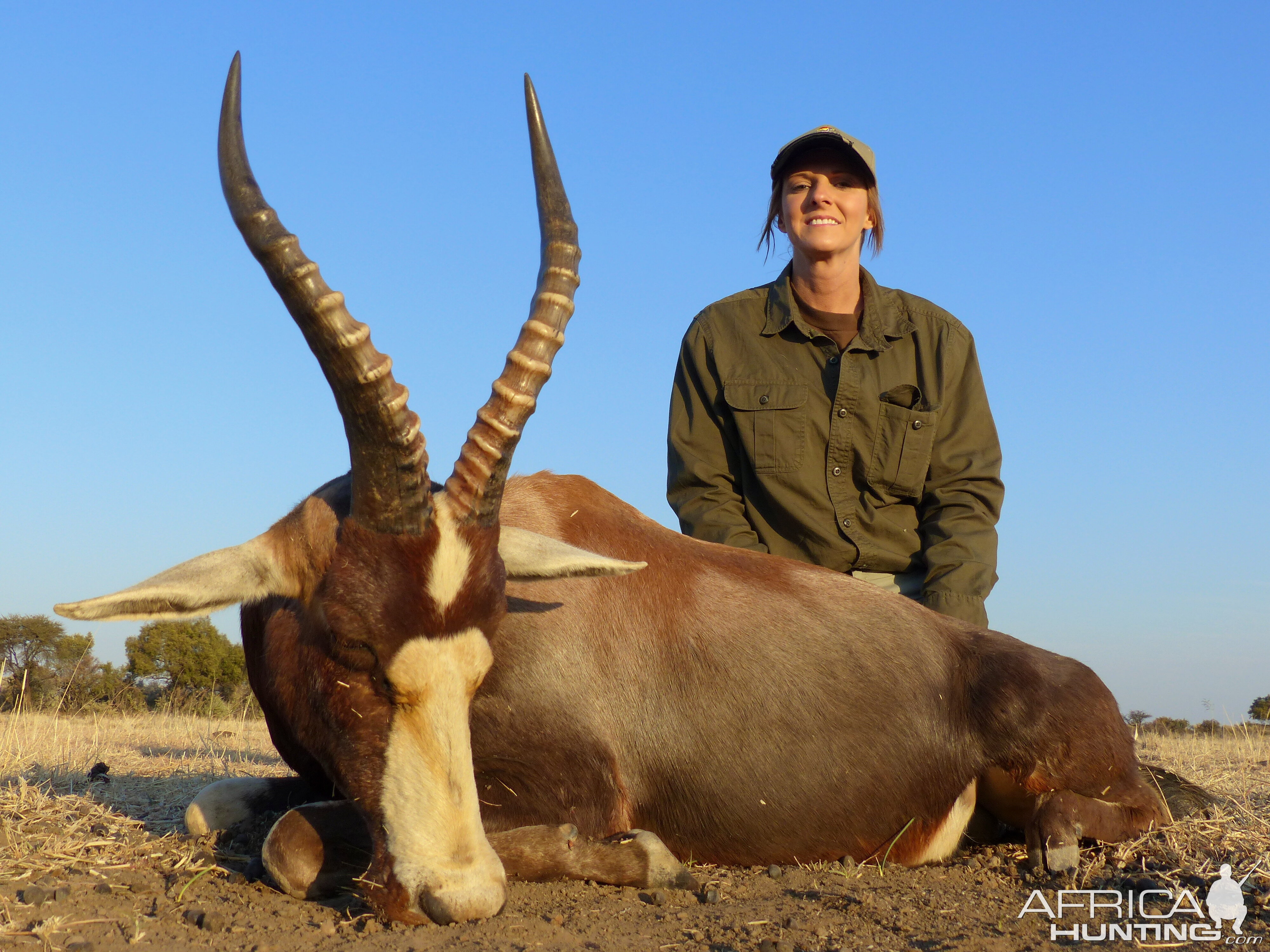 Hunting Blesbok South Africa