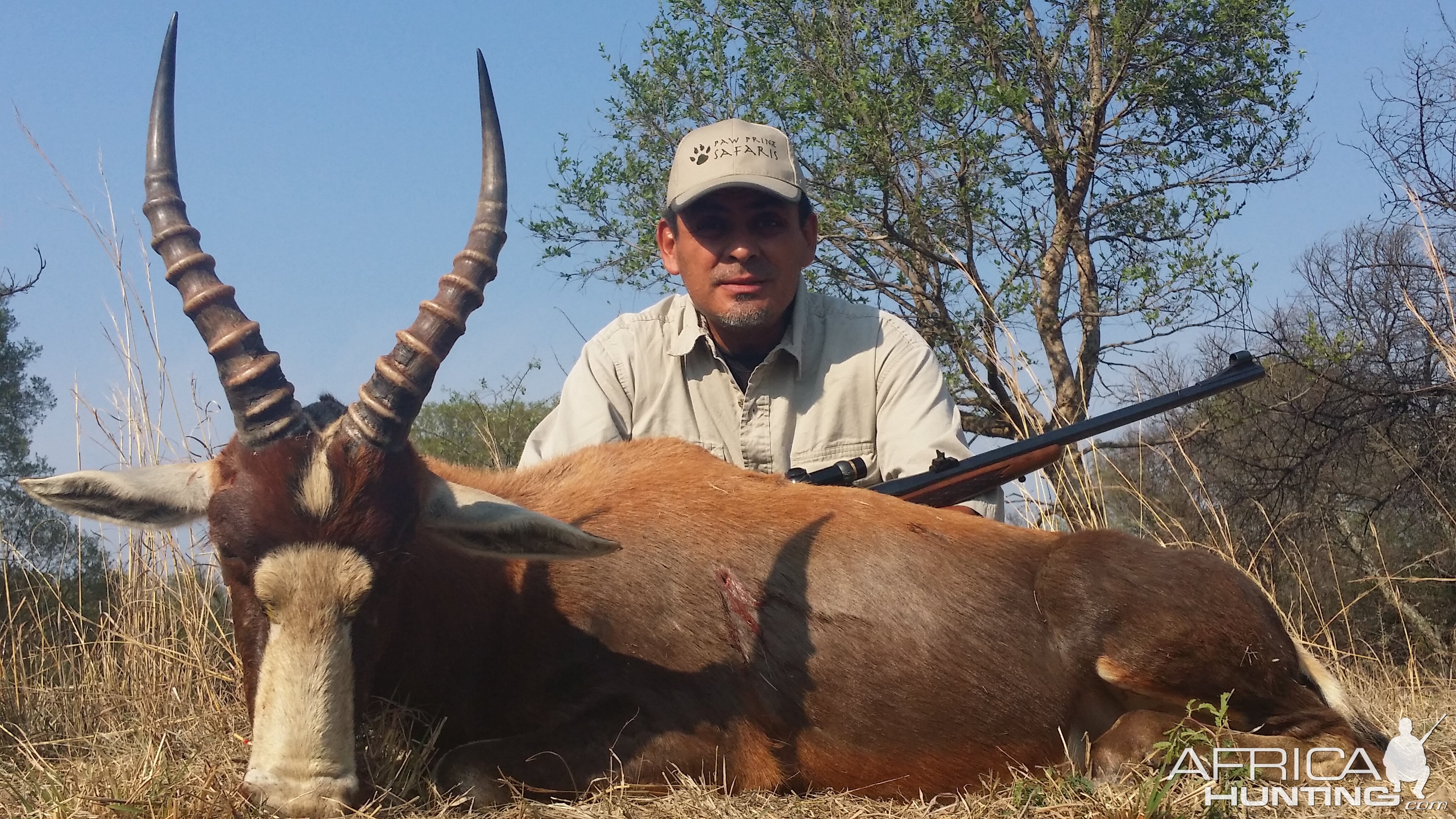 Hunting Blesbok South Africa