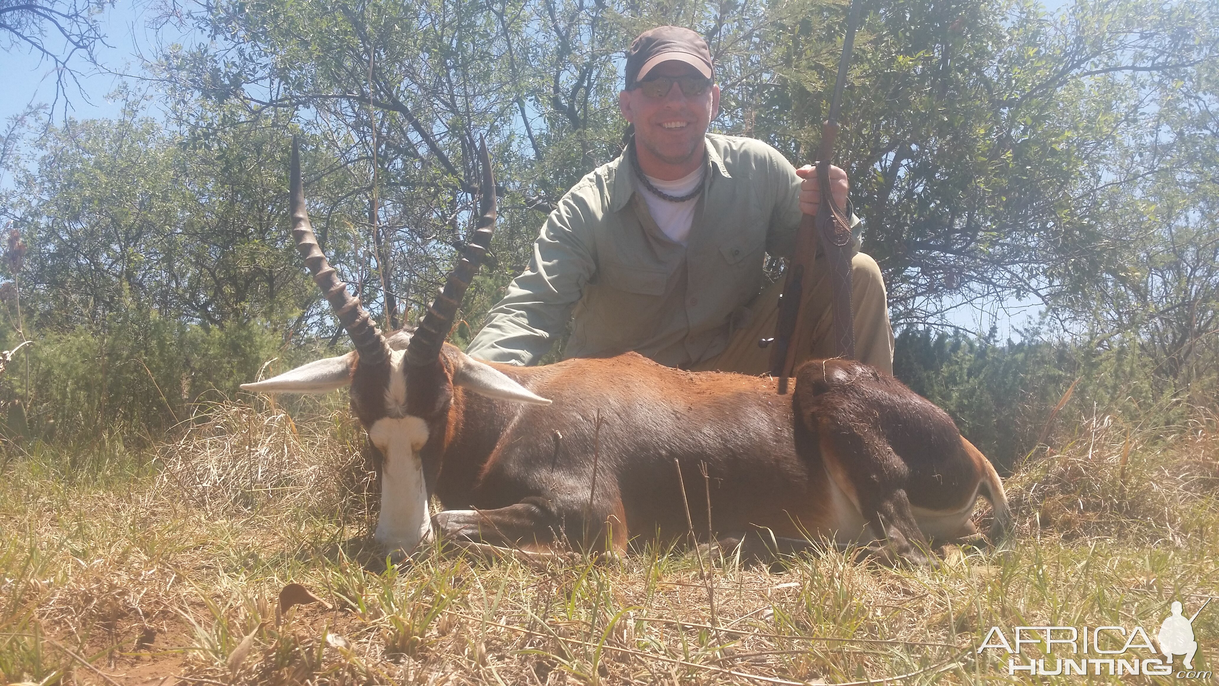 Hunting Blesbok South Africa