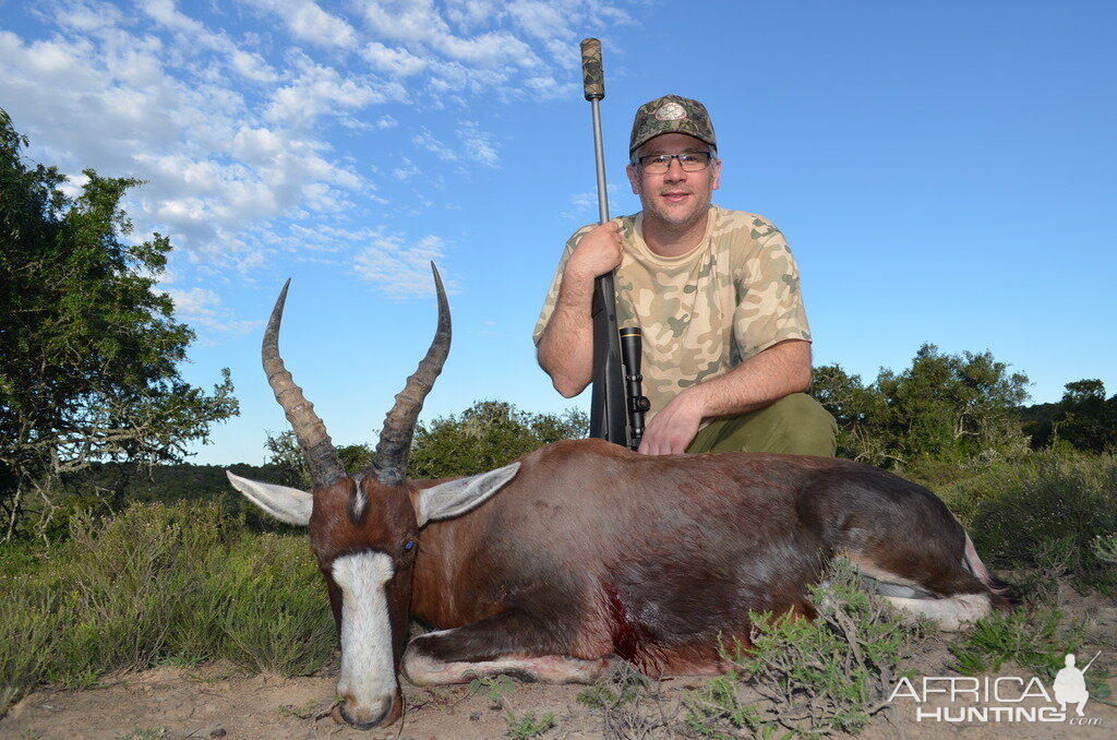 Hunting Blesbok South Africa