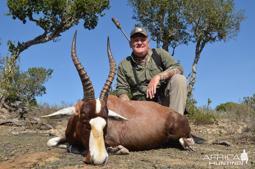 Hunting Blesbok South Africa