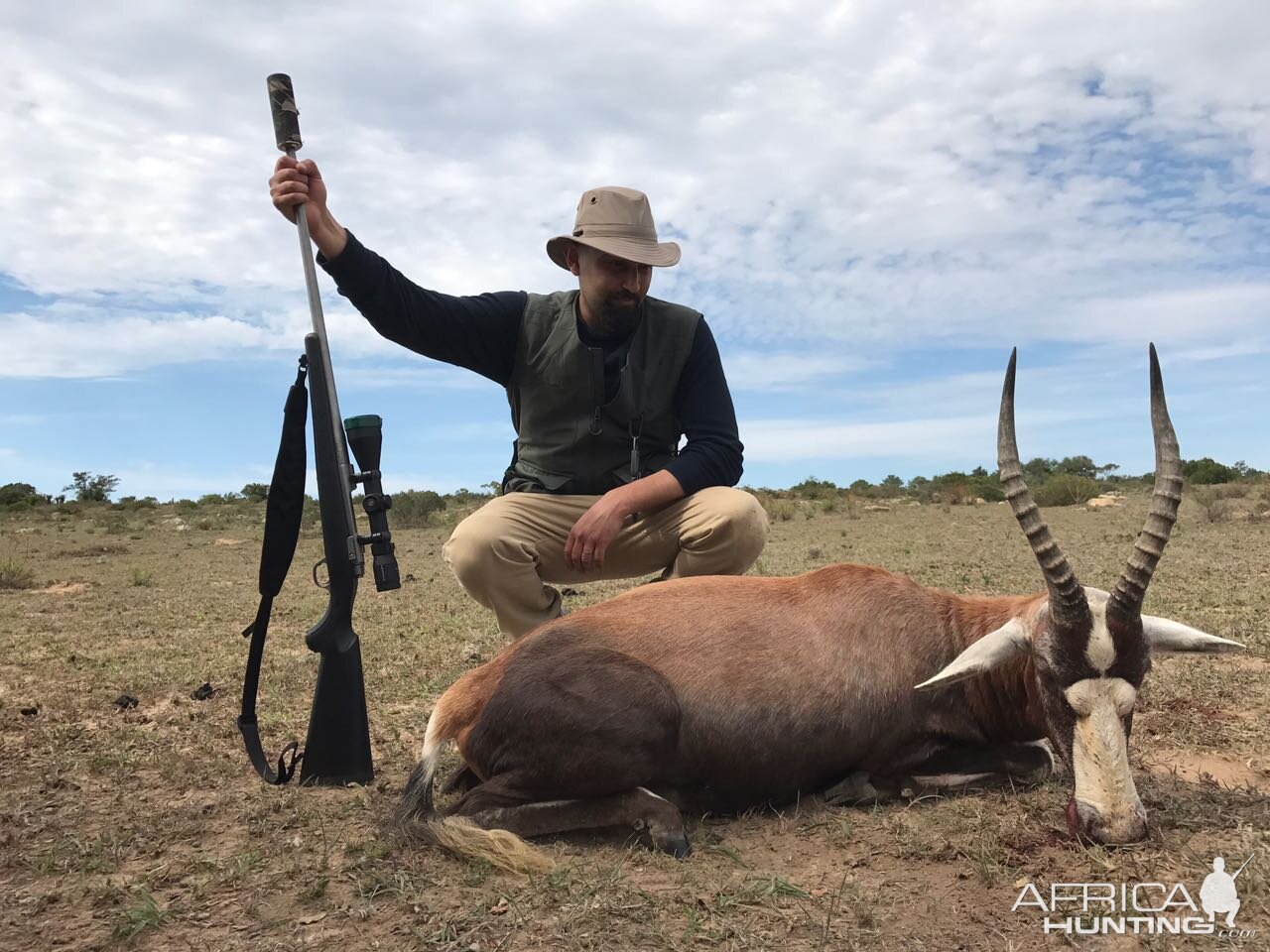 Hunting Blesbok South Africa