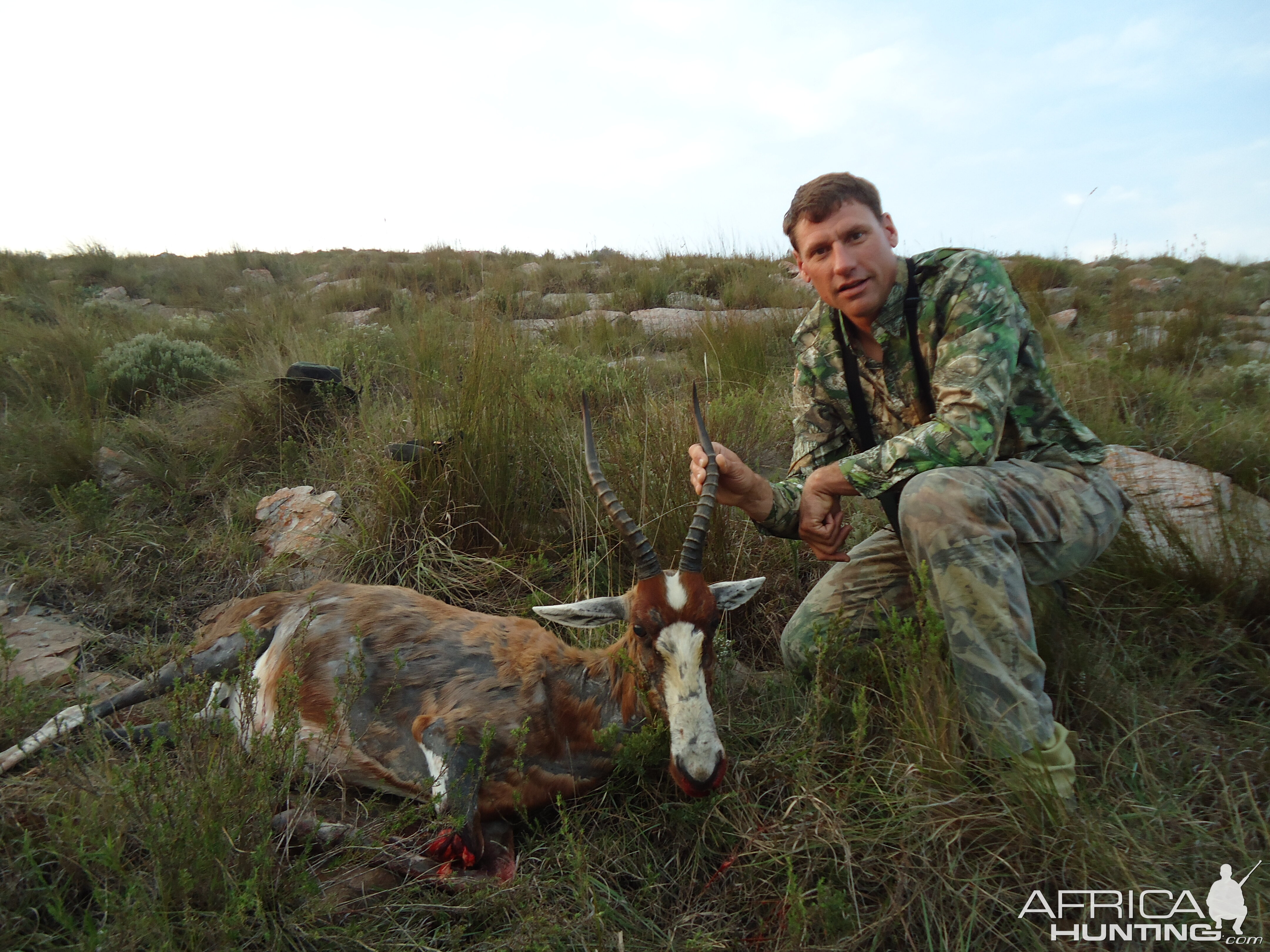 Hunting Blesbok South Africa