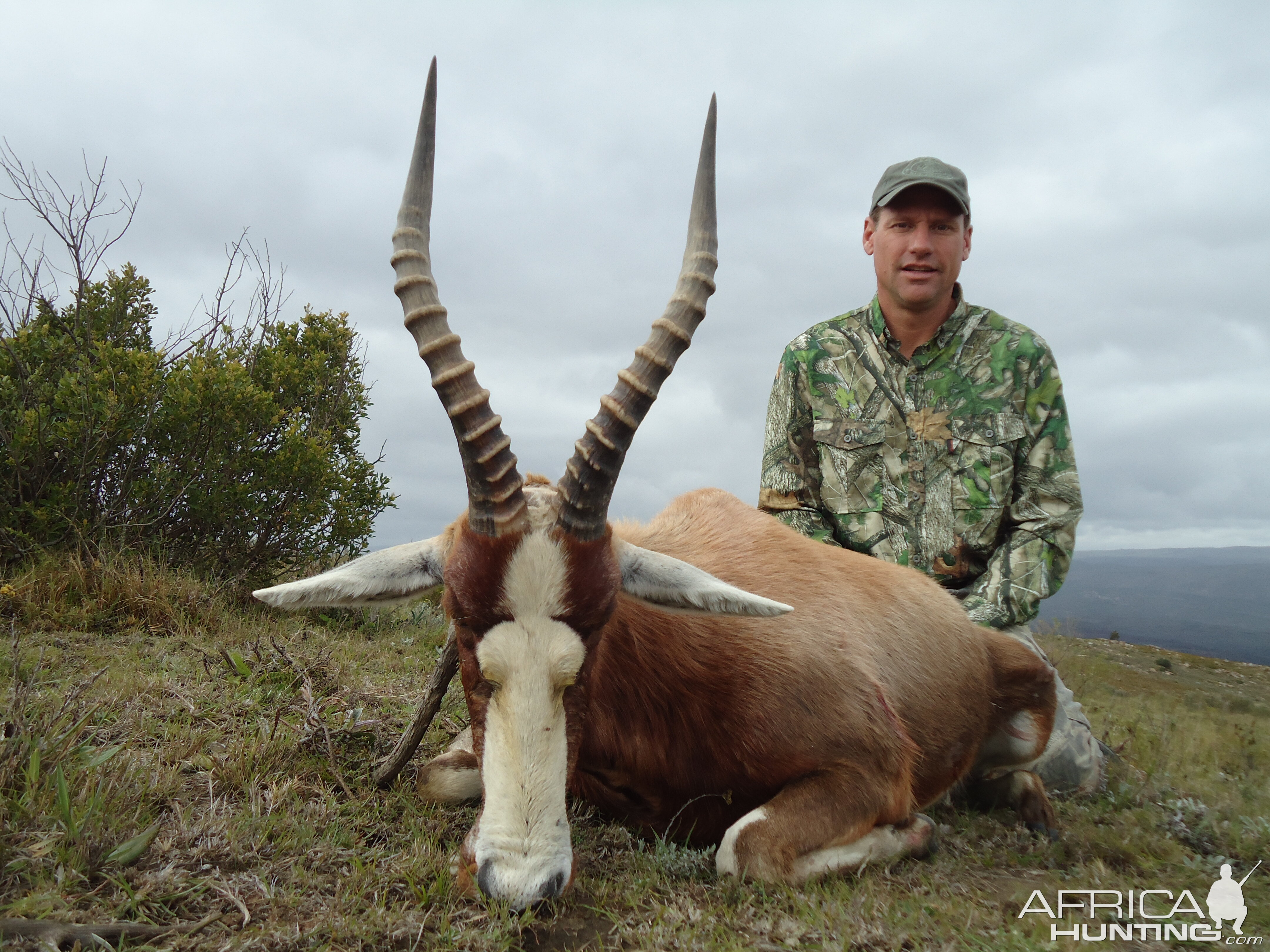 Hunting Blesbok South Africa