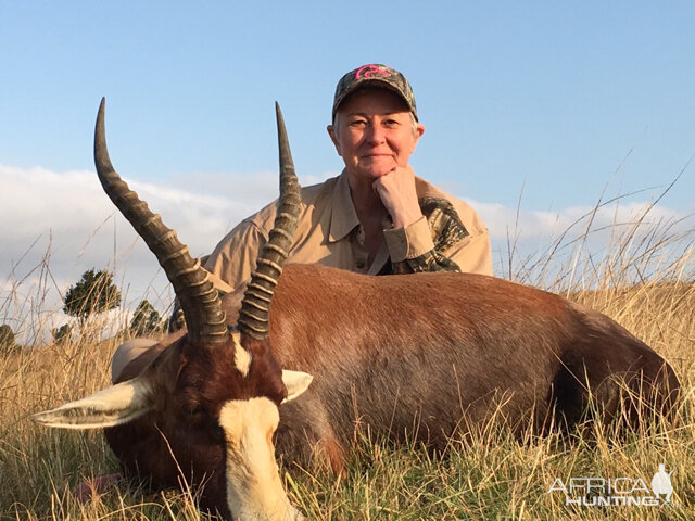 Hunting Blesbok South Africa