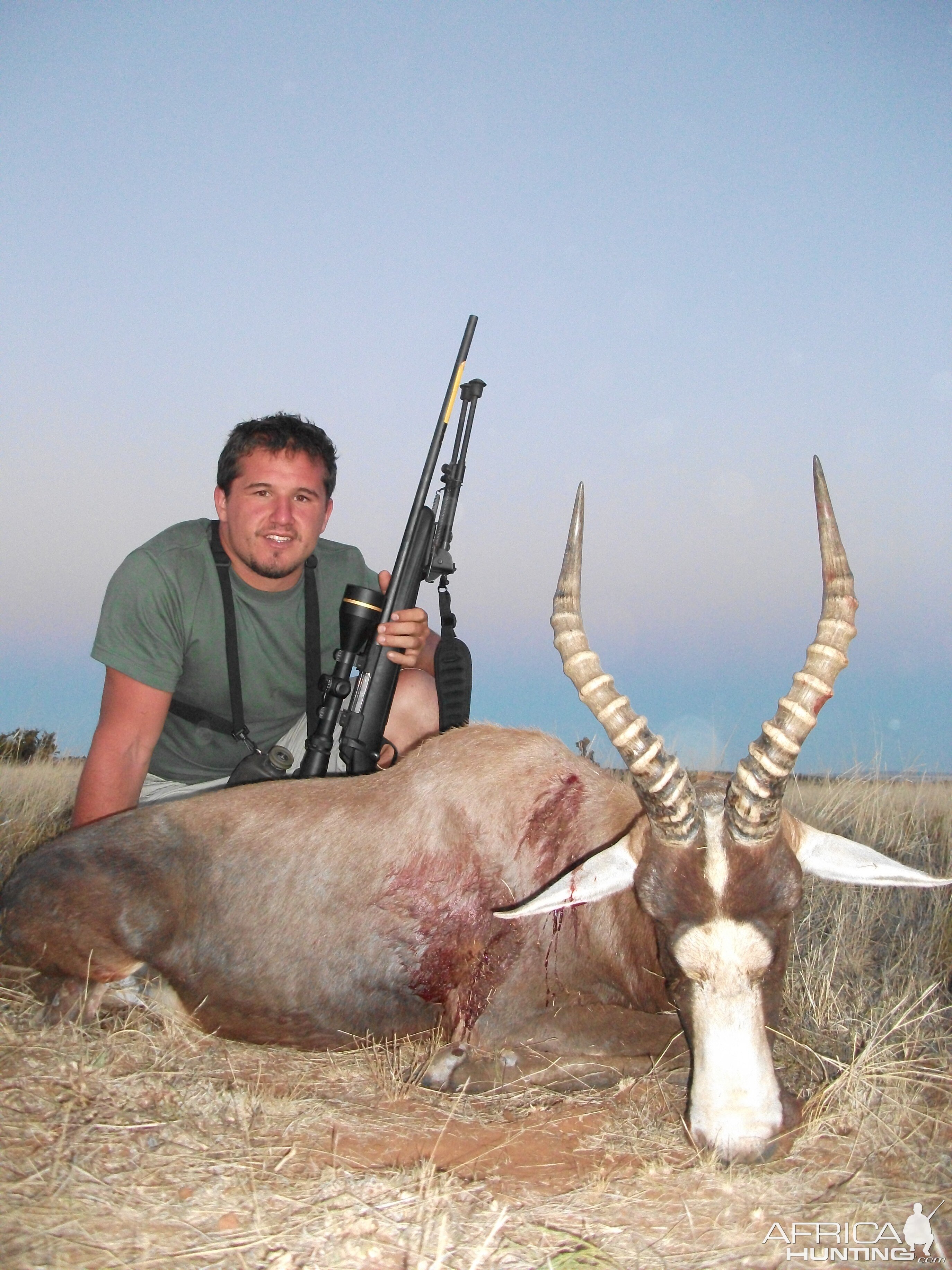 Hunting Blesbok South Africa