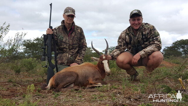 Hunting Blesbok South Africa