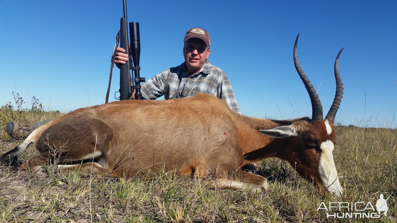 Hunting Blesbok South Africa