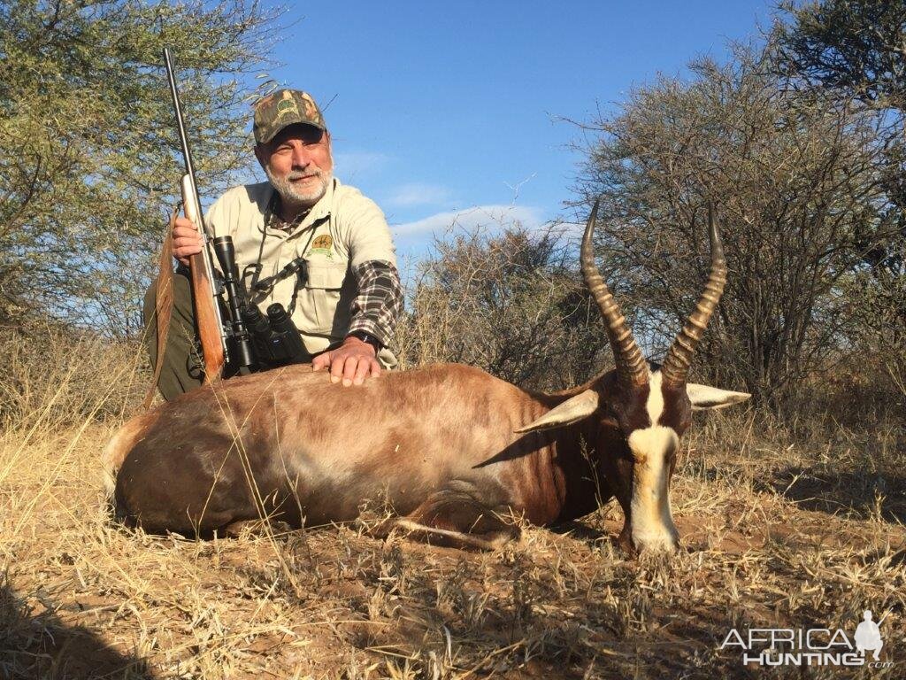 Hunting Blesbok South Africa