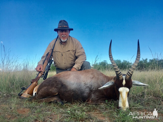 Hunting Blesbok South Africa