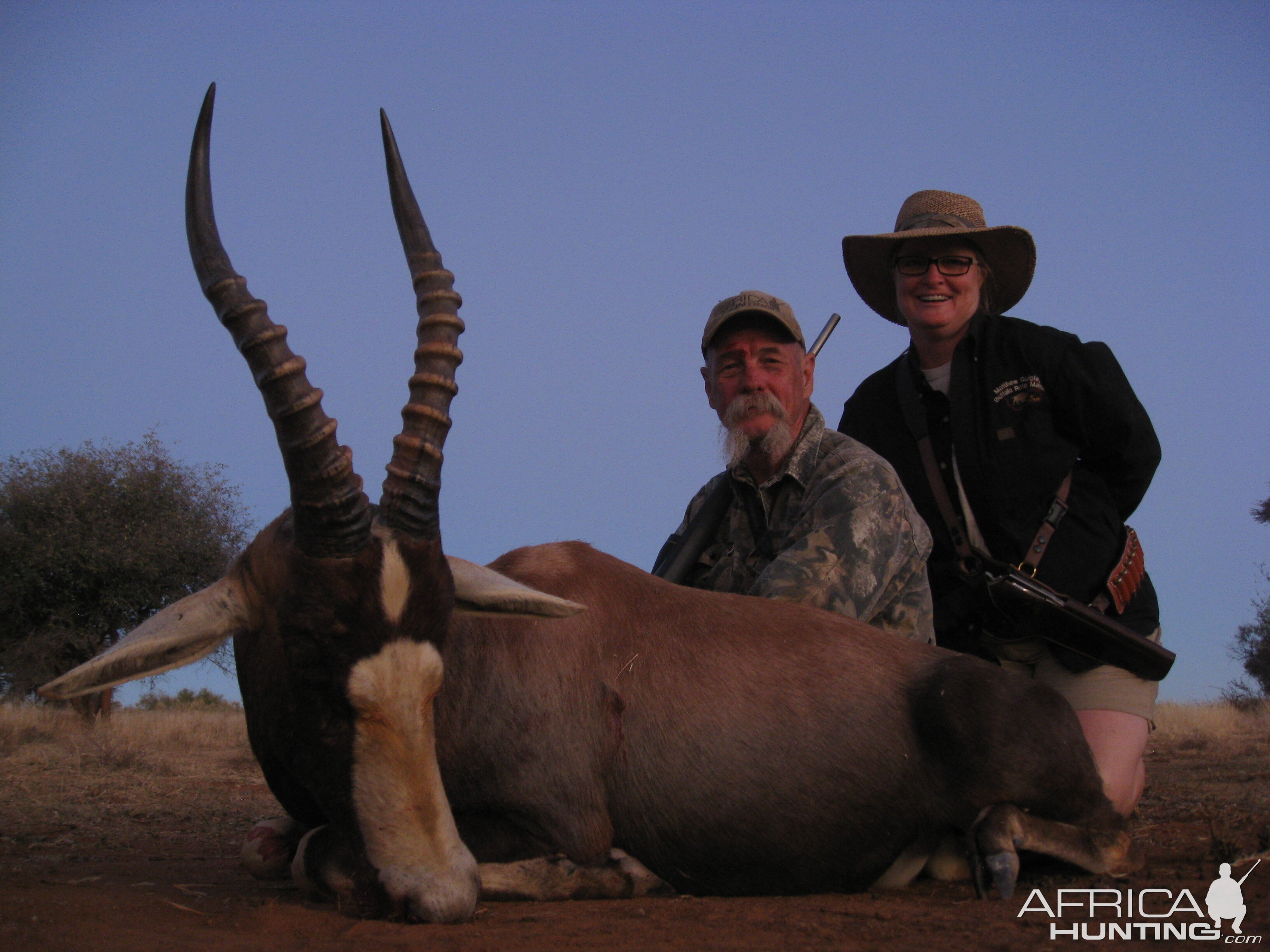 Hunting Blesbok South Africa