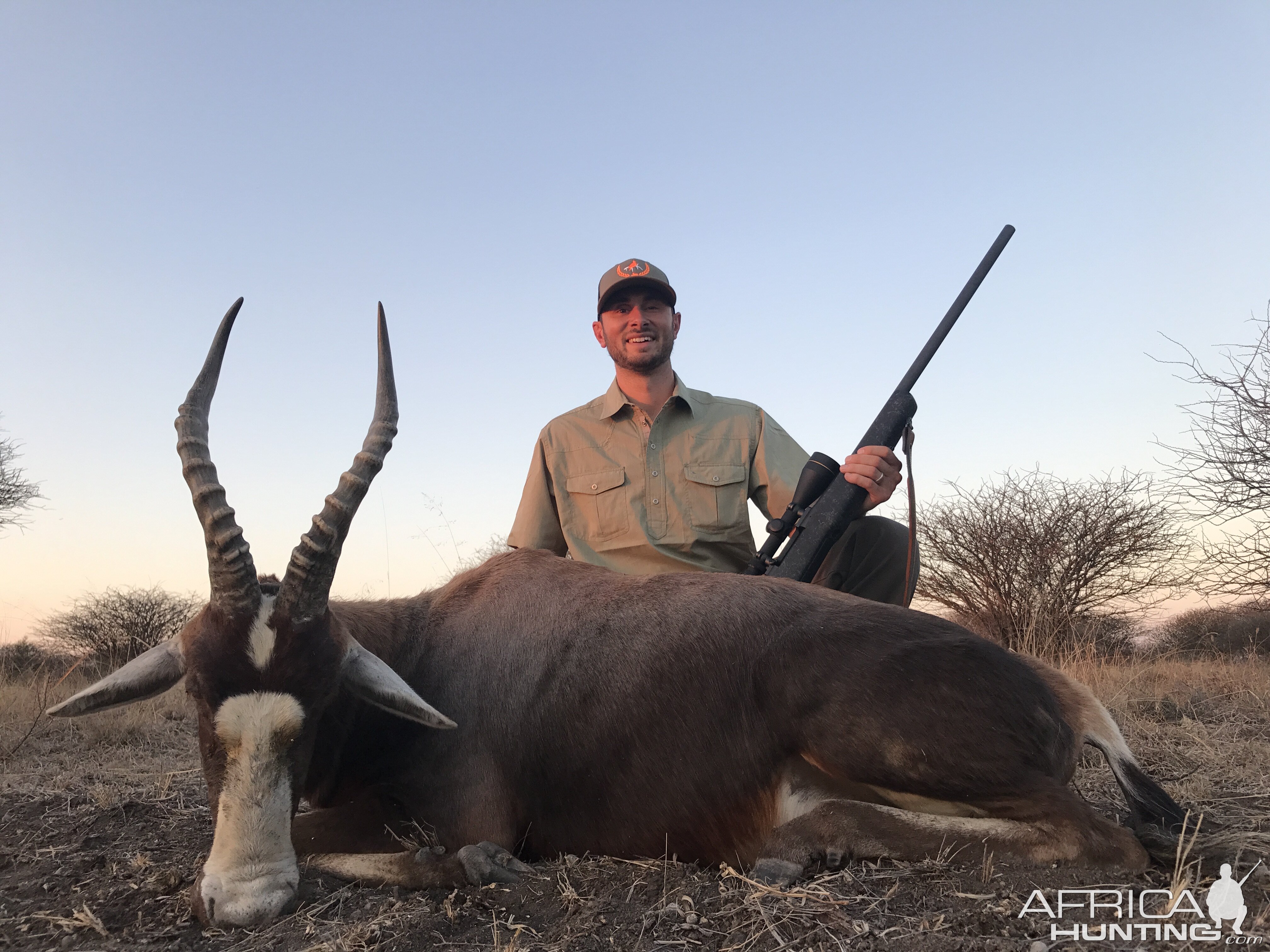 Hunting Blesbok South Africa