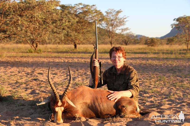 Hunting Blesbok South Africa