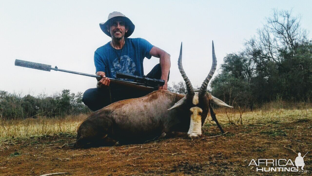 Hunting Blesbok South Africa