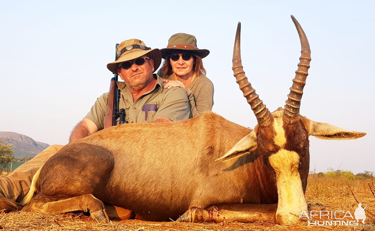 Hunting Blesbok South Africa