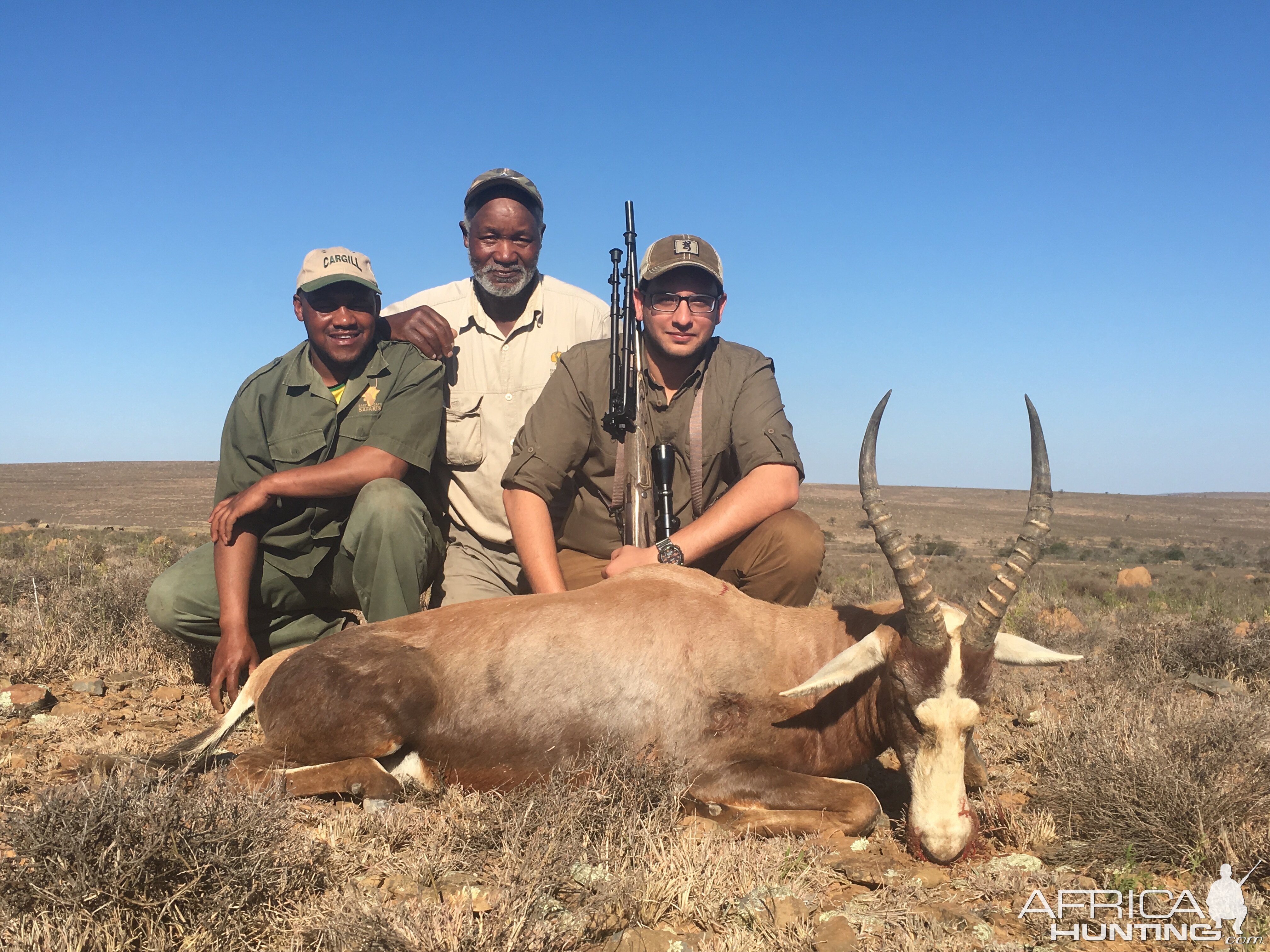 Hunting Blesbok South Africa