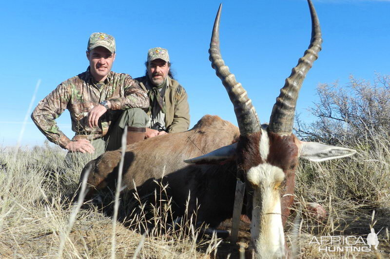 Hunting Blesbok South Africa