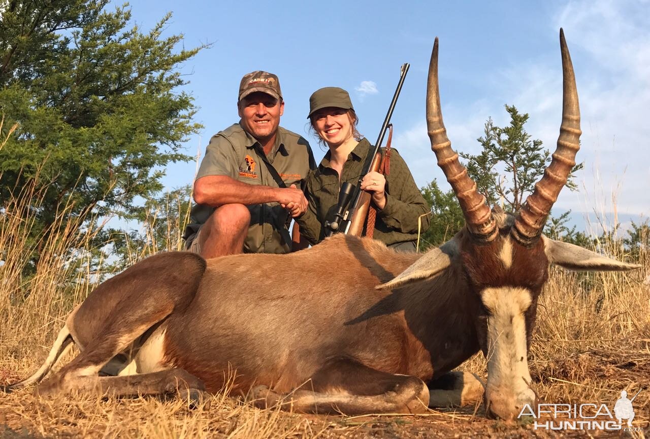 Hunting Blesbok South Africa