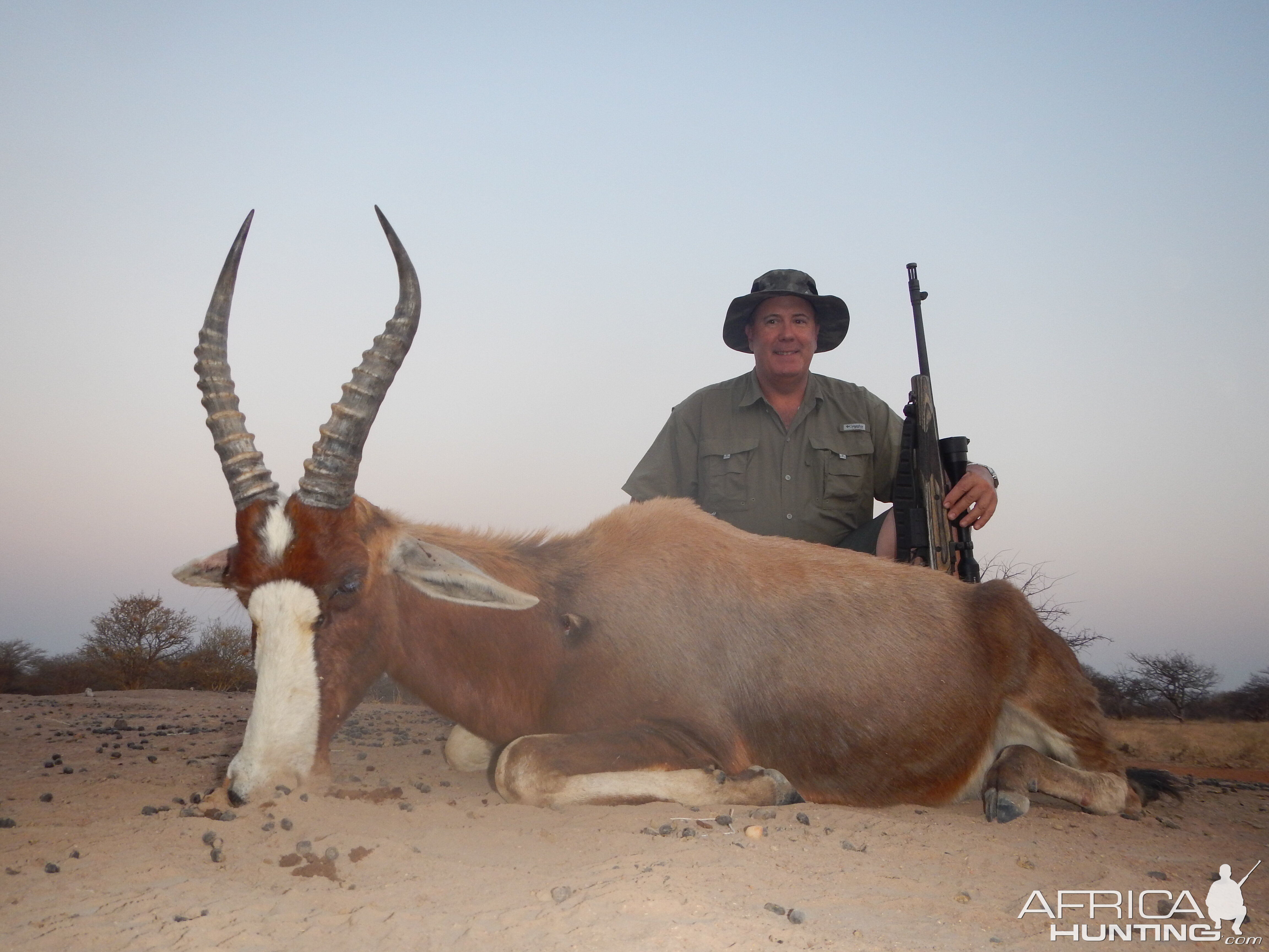 Hunting Blesbok South Africa