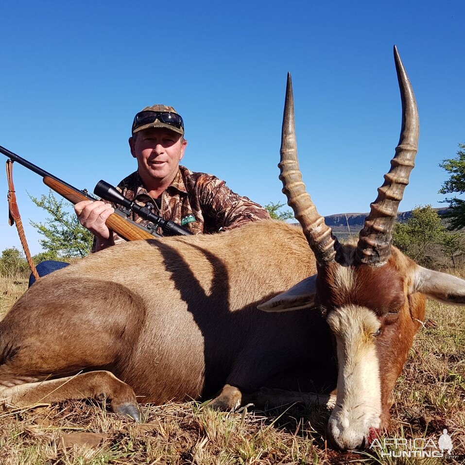 Hunting Blesbok South Africa