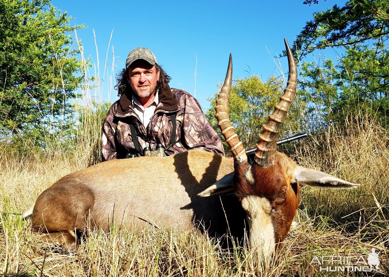 Hunting Blesbok South Africa