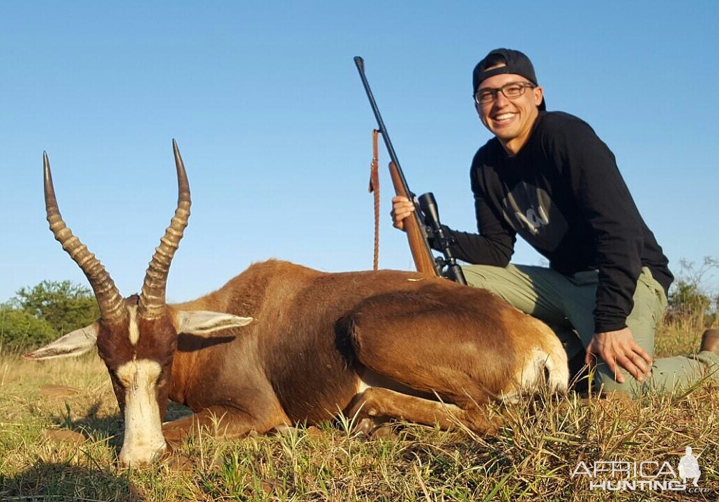 Hunting Blesbok South Africa