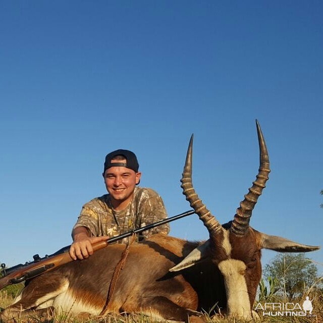 Hunting Blesbok South Africa